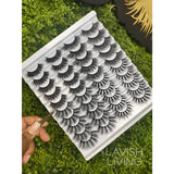 The Luxury Lash Box